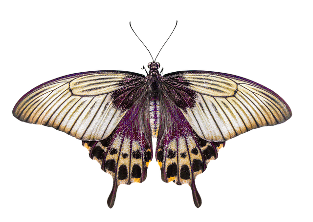 sensor integration partner logo placeholder