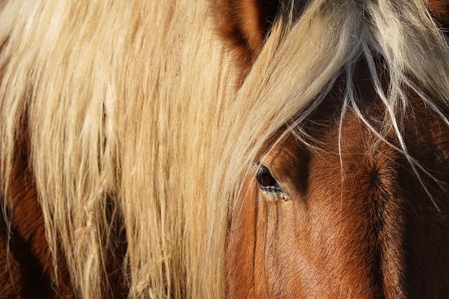 Irish agri-tech analytics team reviewing farm performance metrics